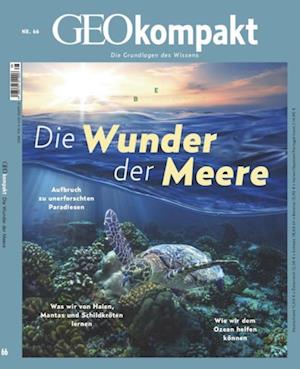 GEO kompakt 66/2021 - Die Wunder der Meere