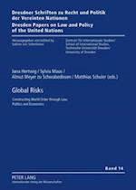 Global Risks : Constructing World Order Through Law, Politics and Economics