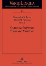 Grammar Between Norm and Variation