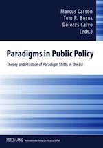 Paradigms in Public Policy