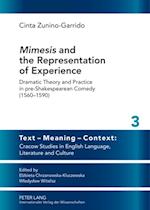 Mimesis  and the Representation of Experience