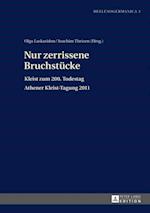 Nur zerrissene Bruchstuecke