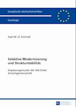 Selektive Modernisierung und Strukturstabilitaet