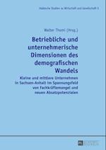 Betriebliche und unternehmerische Dimensionen des demografischen Wandels