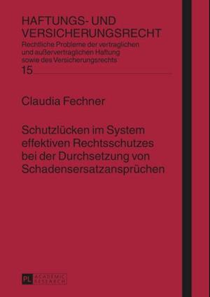 Schutzluecken im System effektiven Rechtsschutzes bei der Durchsetzung von Schadensersatzanspruechen