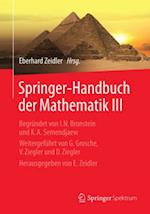Springer-Handbuch der Mathematik III