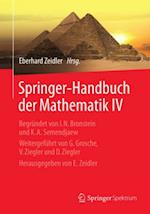 Springer-Handbuch der Mathematik IV