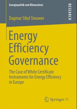 Energy Efficiency Governance