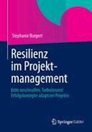 Resilienz im Projektmanagement