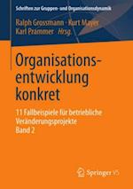 Organisationsentwicklung konkret