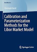 Calibration and Parameterization Methods for the Libor Market Model