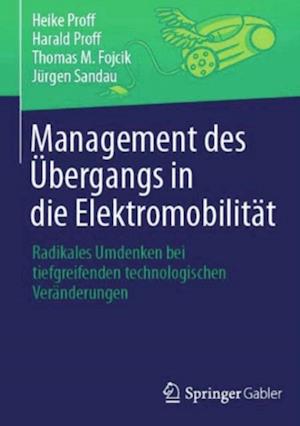 Management des Übergangs in die Elektromobilität