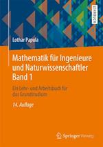 Mathematik für Ingenieure und Naturwissenschaftler Band 1