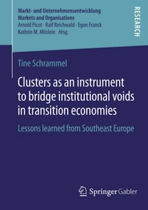Clusters as an instrument to bridge institutional voids in transition economies