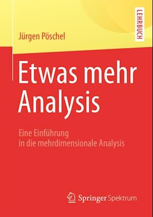 Etwas mehr Analysis