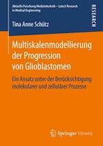 Multiskalenmodellierung der Progression von Glioblastomen