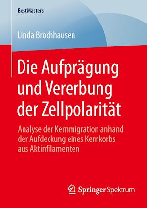 Die Aufprägung und Vererbung der Zellpolarität