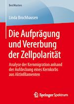 Die Aufprägung und Vererbung der Zellpolarität