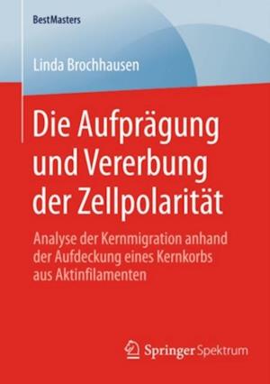 Die Aufprägung und Vererbung der Zellpolarität