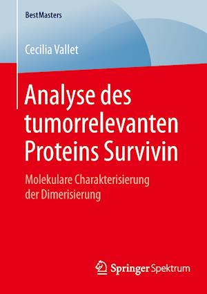 Analyse des tumorrelevanten Proteins Survivin