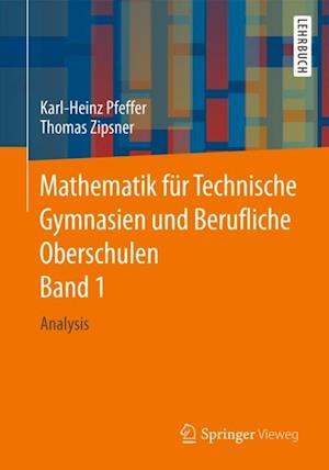 Mathematik für Technische Gymnasien und Berufliche Oberschulen Band 1