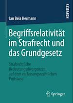 Begriffsrelativität im Strafrecht und das Grundgesetz