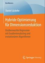 Hybride Optimierung für Dimensionsreduktion