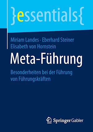 Meta-Führung