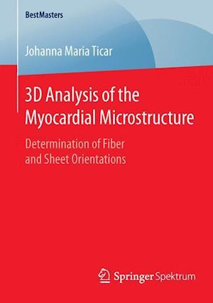 3D Analysis of the Myocardial Microstructure