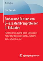 Einbau und Faltung von ß-Fass Membranproteinen in Bakterien