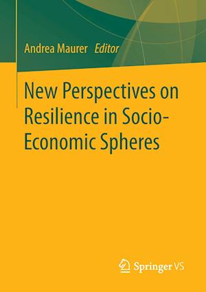 New Perspectives on Resilience in Socio-Economic Spheres