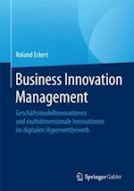 Business Innovation Management