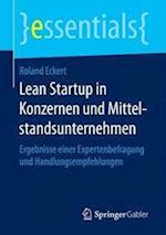 Lean Startup in Konzernen und Mittelstandsunternehmen