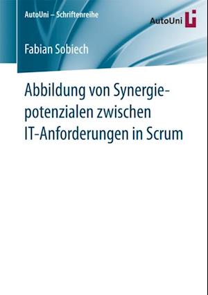 Abbildung von Synergiepotenzialen zwischen IT-Anforderungen in Scrum