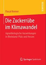 Die Zuckerrübe im Klimawandel