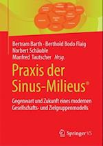 Praxis der Sinus-Milieus®