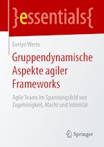 Gruppendynamische Aspekte agiler Frameworks
