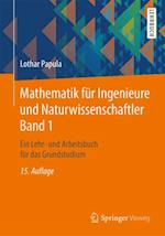 Mathematik für Ingenieure und Naturwissenschaftler Band 1