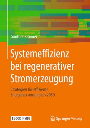 Systemeffizienz bei regenerativer Stromerzeugung