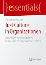 Just Culture in Organisationen