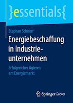 Energiebeschaffung in Industrieunternehmen