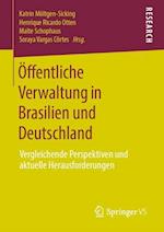 Öffentliche Verwaltung in Brasilien und Deutschland