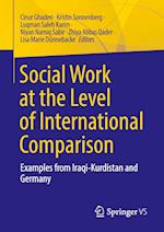 Social Work at the Level of International Comparison