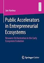 Public Accelerators in Entrepreneurial Ecosystems