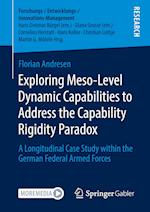 Exploring Meso-Level Dynamic Capabilities to Address the Capability Rigidity Paradox