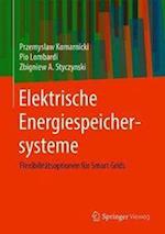 Elektrische Energiespeichersysteme