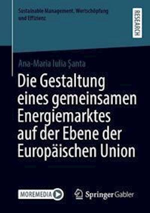 Die Gestaltung eines gemeinsamen Energiemarktes auf der Ebene der Europäischen Union