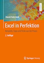 Excel in Perfektion