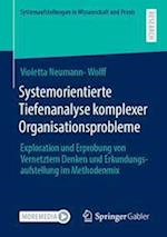 Systemorientierte Tiefenanalyse komplexer Organisationsprobleme