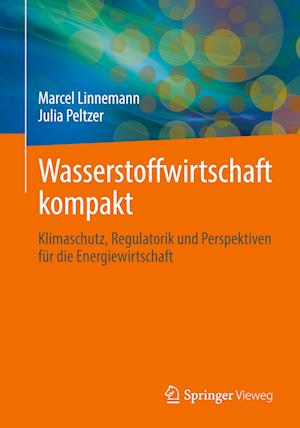 Wasserstoffwirtschaft kompakt